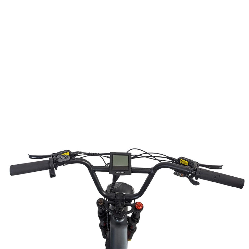 Электровелосипед SmartBalance Hunter Чёрный 13